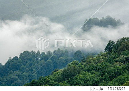 High mountains with forested slopes and peaks High mountains with forested slopes and peaks 55198395