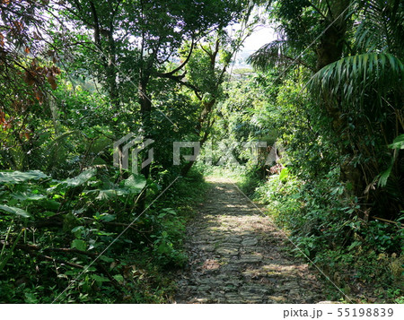 末吉公園 55198839