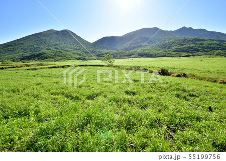 くじゅう坊ガツル湿原 坊ガツル 平治岳1643m 大船山1786m 阿蘇くじゅう国立公園 法華院温泉 くじゅう坊ガツル湿原 坊ガツル 平治岳1643m 大船山1786m 阿蘇くじゅう国立公園 法華院温泉 55199756