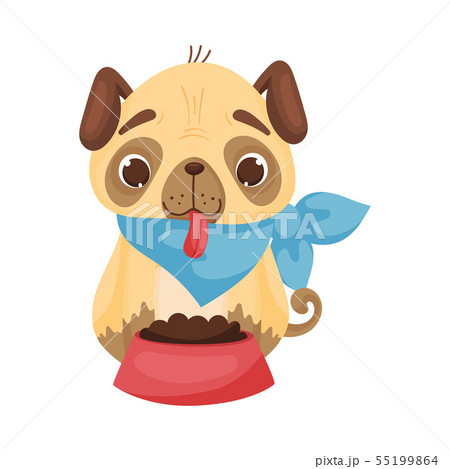 Cute Pug In A Blue Triangular Bib In Front Of A のイラスト素材