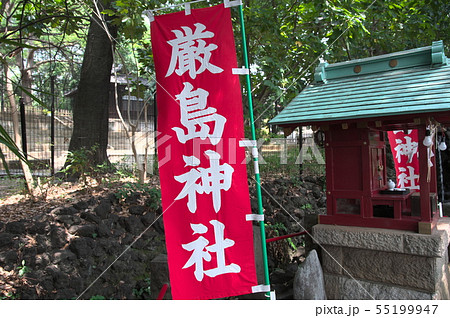 世田谷 厳島神社 世田谷八幡宮 世田谷 厳島神社 世田谷八幡宮 55199947
