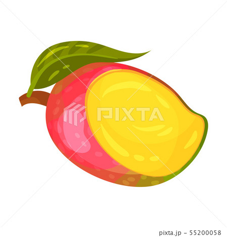 Mango notched on one side. Vector illustration on white background. 55200058