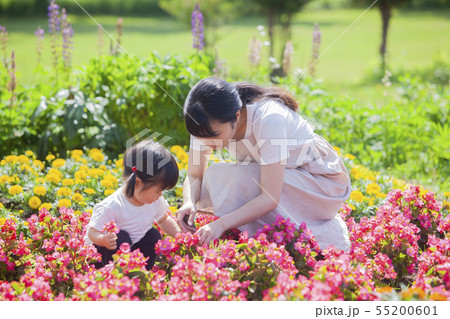 親子でガーデニング 55200601