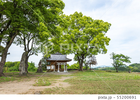 岡城天満神社を見る本丸跡風景 55200691