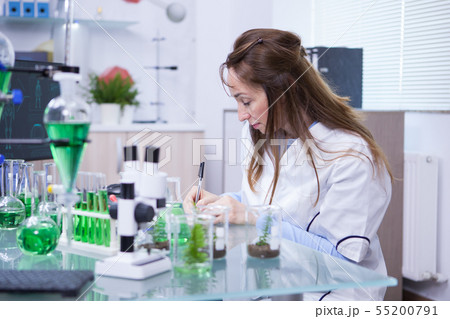 Photo of mature female scientist writing notes on her notebook after last research on plants 55200791