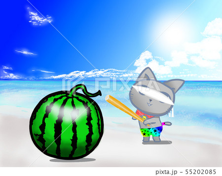 夏のビーチでスイカ割りをしている子猫ちゃんのイラスト素材