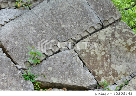 盛岡城の石垣に残るノミの跡（盛岡城跡公園(岩手公園)／岩手県盛岡市内丸1-37） 55203542