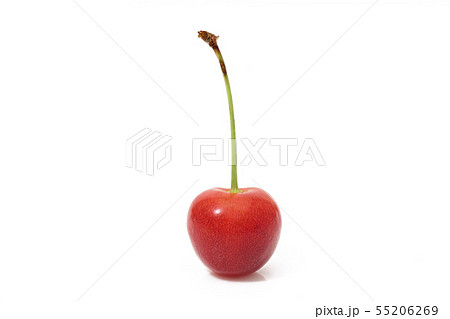 さくらんぼ (深度合成) さくらんぼ (深度合成) 55206269