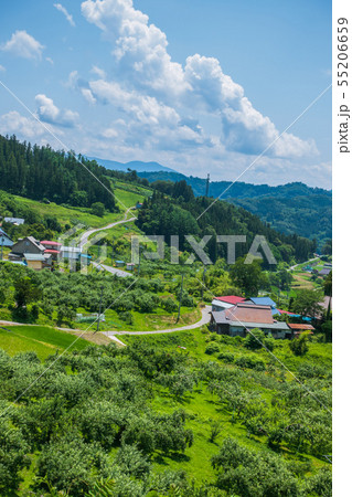 地方移住イメージ：山里風景：夏　　　　　　　上水内郡小川村 55206659