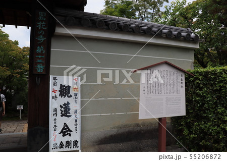 法金剛院 法金剛院 55206872