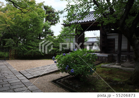 法金剛院 55206873