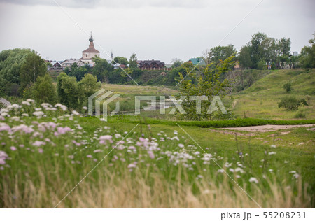 Bright green meadow in daylight in countryside with flowers and gloomy sky 55208231