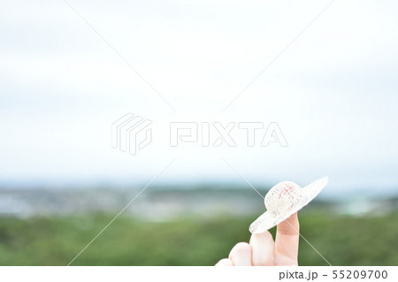 むぎわら帽子 | 夏 むぎわら帽子 | 夏 55209700