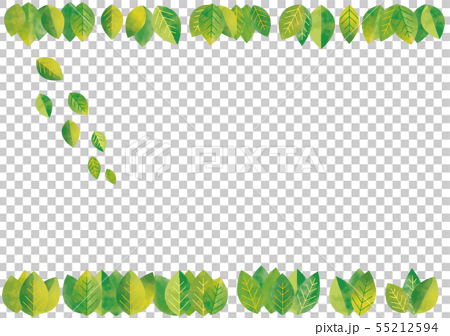 北欧風 葉っぱシンプルグリーン フレームのイラスト素材