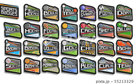 Vector set of Sports Badges 55213329