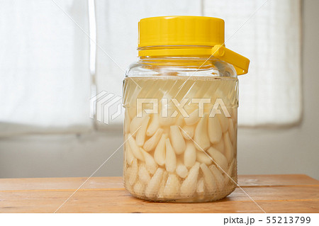 らっきょう　漬け物　（6月）　 55213799