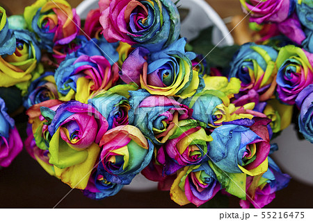 レインボーローズ 虹色のバラの写真素材