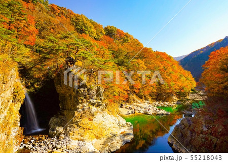 栃木県 日光の紅葉 龍王峡と虹見の滝 栃木県 日光の紅葉 龍王峡と虹見の滝 55218043