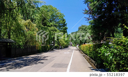 角館武家屋敷 55218397