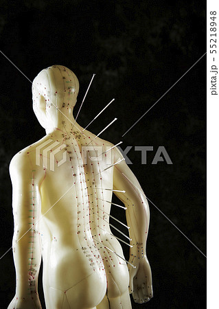 経路経穴鍼灸模型 針治療 東洋医学イメージの写真素材 [55218948] - PIXTA