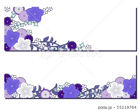 桔梗と秋の菊のイラスト背景 55219764