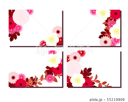 秋の菊のイラスト背景 55219806