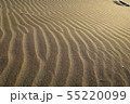 砂の紋様 55220099
