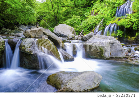 吐竜の滝１ 55220571