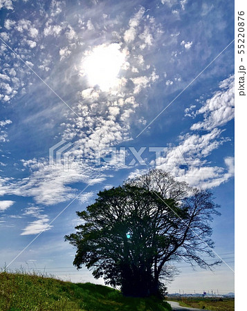 空 55220876