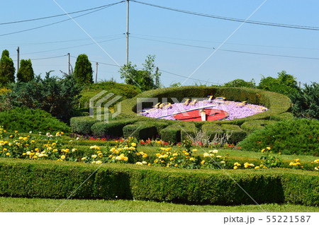 Landscape design of flower arrangements Landscape design of flower arrangements 55221587