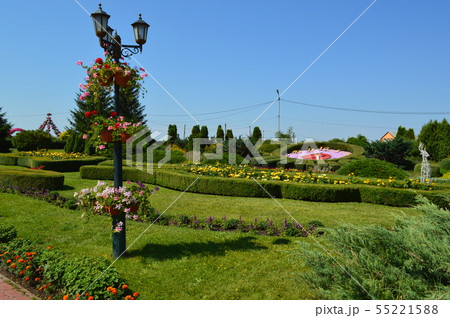 Landscape design of flower arrangements Landscape design of flower arrangements 55221588
