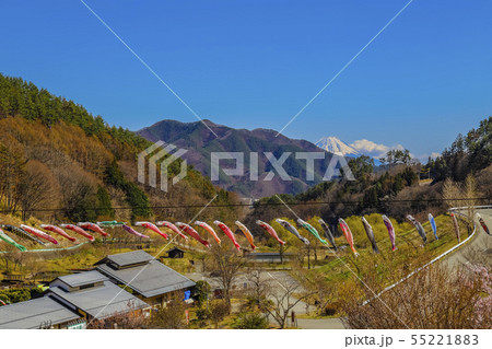 【山梨県北杜市】長澤の鯉のぼりと南八ヶ岳花の森公園 55221883