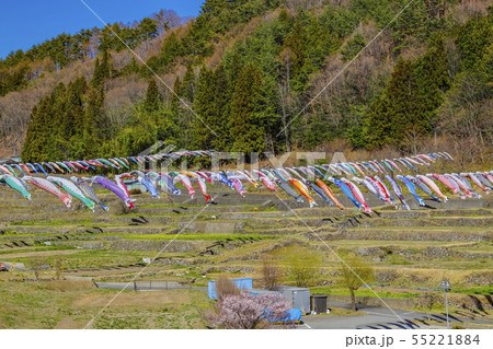【山梨県北杜市】長澤の鯉のぼりと南八ヶ岳花の森公園 【山梨県北杜市】長澤の鯉のぼりと南八ヶ岳花の森公園 55221884