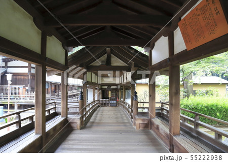 川越大師 喜多院の慈恵堂と客殿を結ぶ廊下 川越大師 喜多院の慈恵堂と客殿を結ぶ廊下 55222938