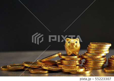 ブタのフィギュア 貯金箱と金の硬貨 ライフプラン 貯蓄イメージ ブタのフィギュア 貯金箱と金の硬貨 ライフプラン 貯蓄イメージ 55223307