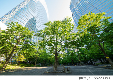 都市風景　品川　杜の公園 55223393