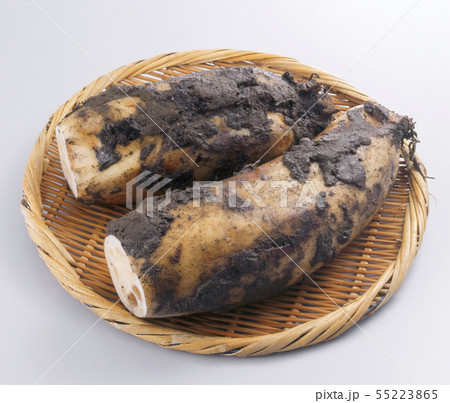 レンコン-土付き-ざる レンコン-土付き-ざる 55223865