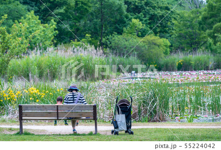 見沼自然公園のベンチで休憩する親子 後ろ姿 見沼自然公園のベンチで休憩する親子 後ろ姿 55224042