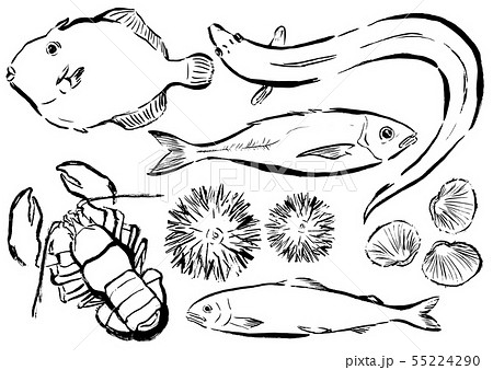 筆描き 魚類のイラスト素材