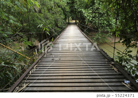Wooden bridge over river in forest 55224371