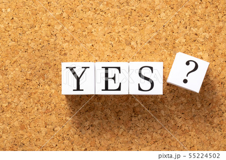 イメージ写真　YES 55224502