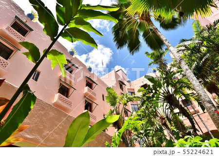 ハワイの休日 ハワイの休日 55224621