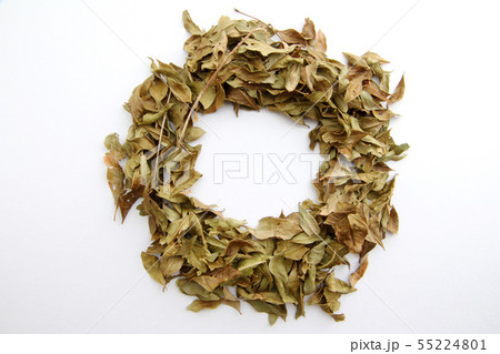 ヘナの葉 55224801