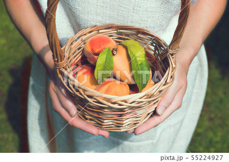Hands and peaches in basket. 55224927