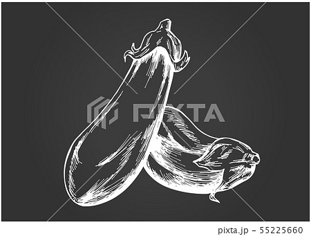 手描きイラスト素材：野菜、ナス、茄子、なすび 55225660