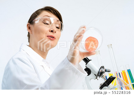 GMO check GMO check 55228316