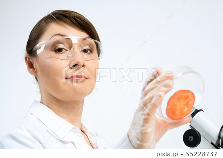 GMO check GMO check 55228737