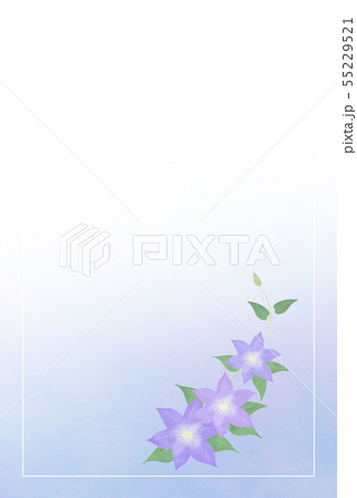 クレマチス　喪中はがき 55229521