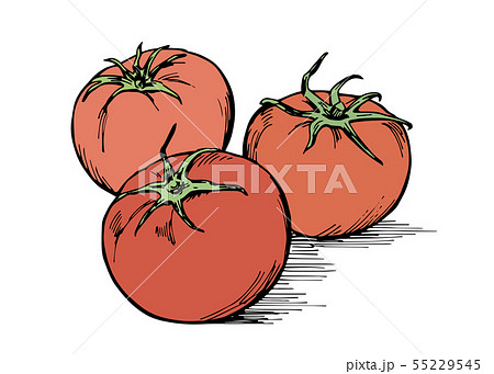 手描きイラスト素材 野菜 トマトのイラスト素材