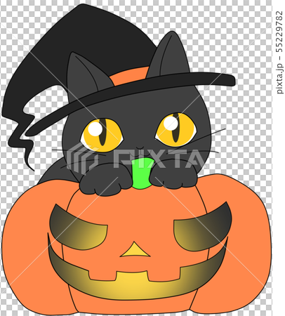 Halloween black cat A Halloween black cat A 55229782